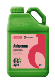 Протруйник Авіценна